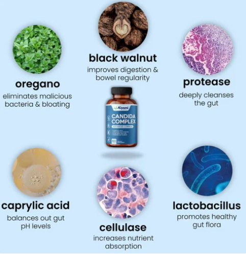 Candida Cleanse - For Gut Detox & Restore