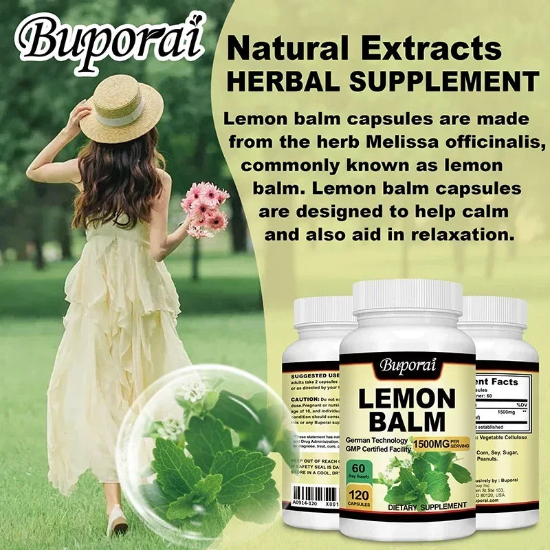 Lemon Balm | Brain Health, Relieve Stress, Improve Digestion