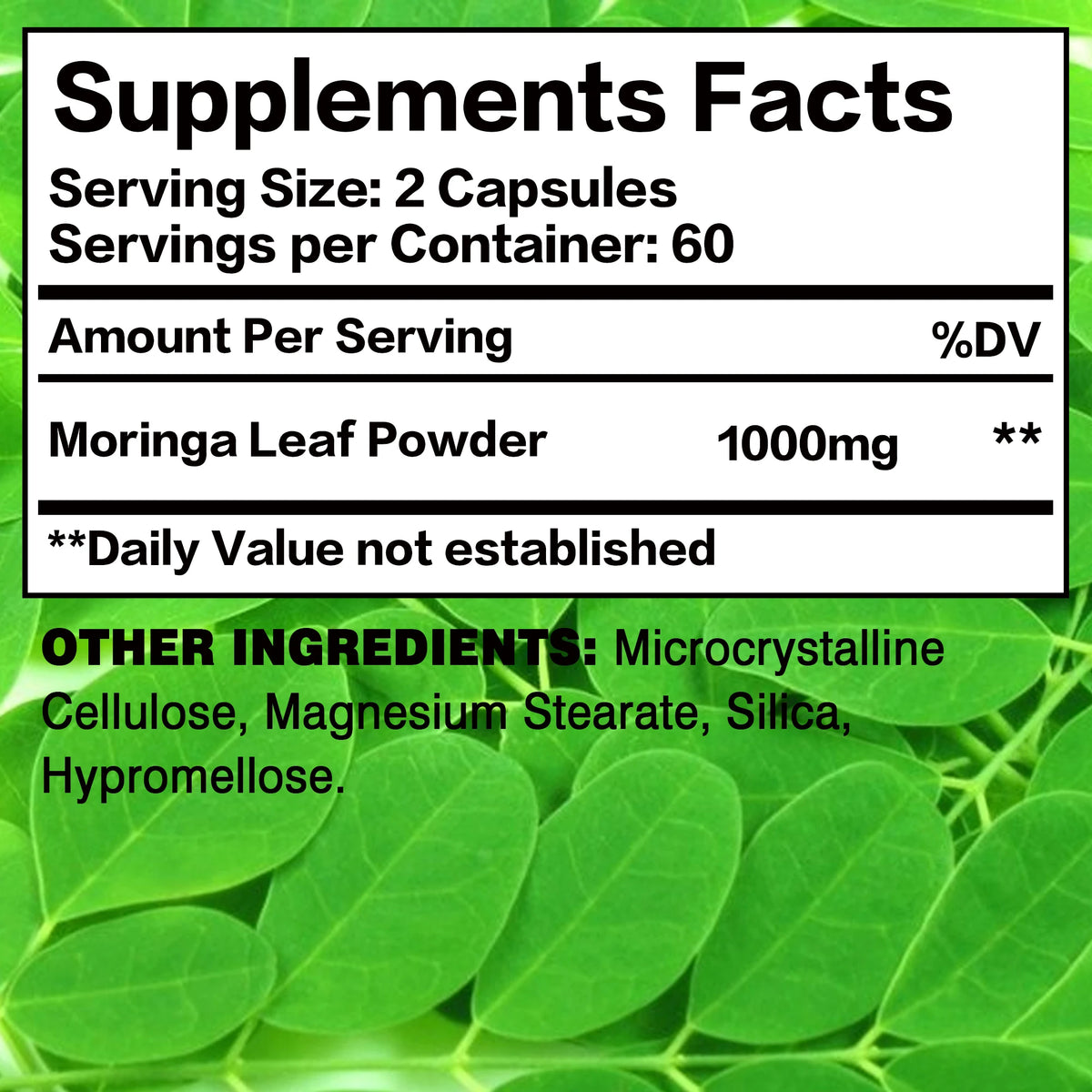 Moringa | Immune System, Energy & Metabolism