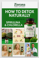E-Book – 7-Day Detox