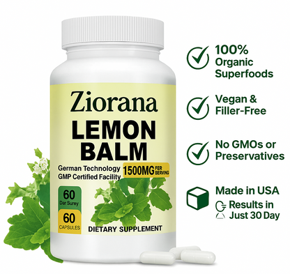 Lemon Balm | Brain Health, Relieve Stress, Improve Digestion