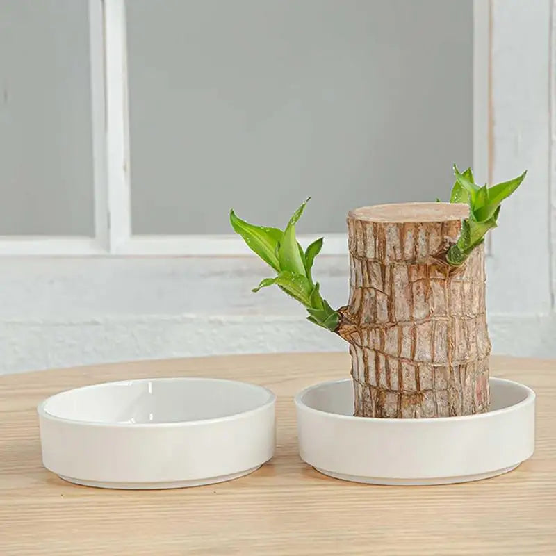 LuckyWood Tray™