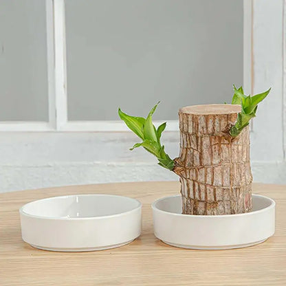 LuckyWood Tray™