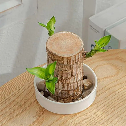 LuckyWood Tray™
