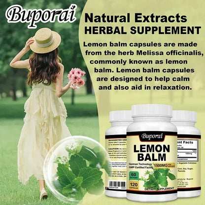 Lemon Balm | Brain Health, Relieve Stress, Improve Digestion