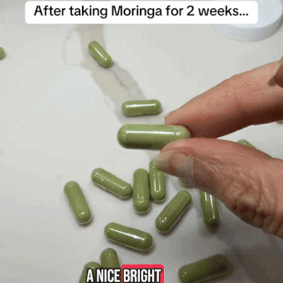 Moringa | Immune System, Energy & Metabolism