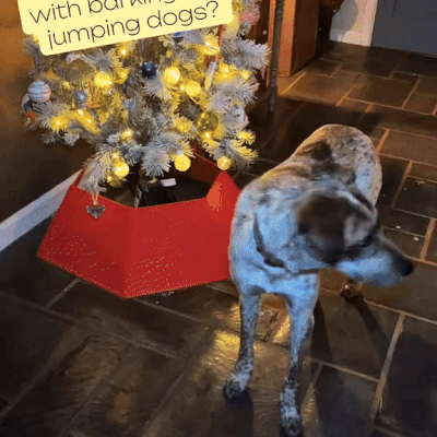 BarkGuard™ Pro