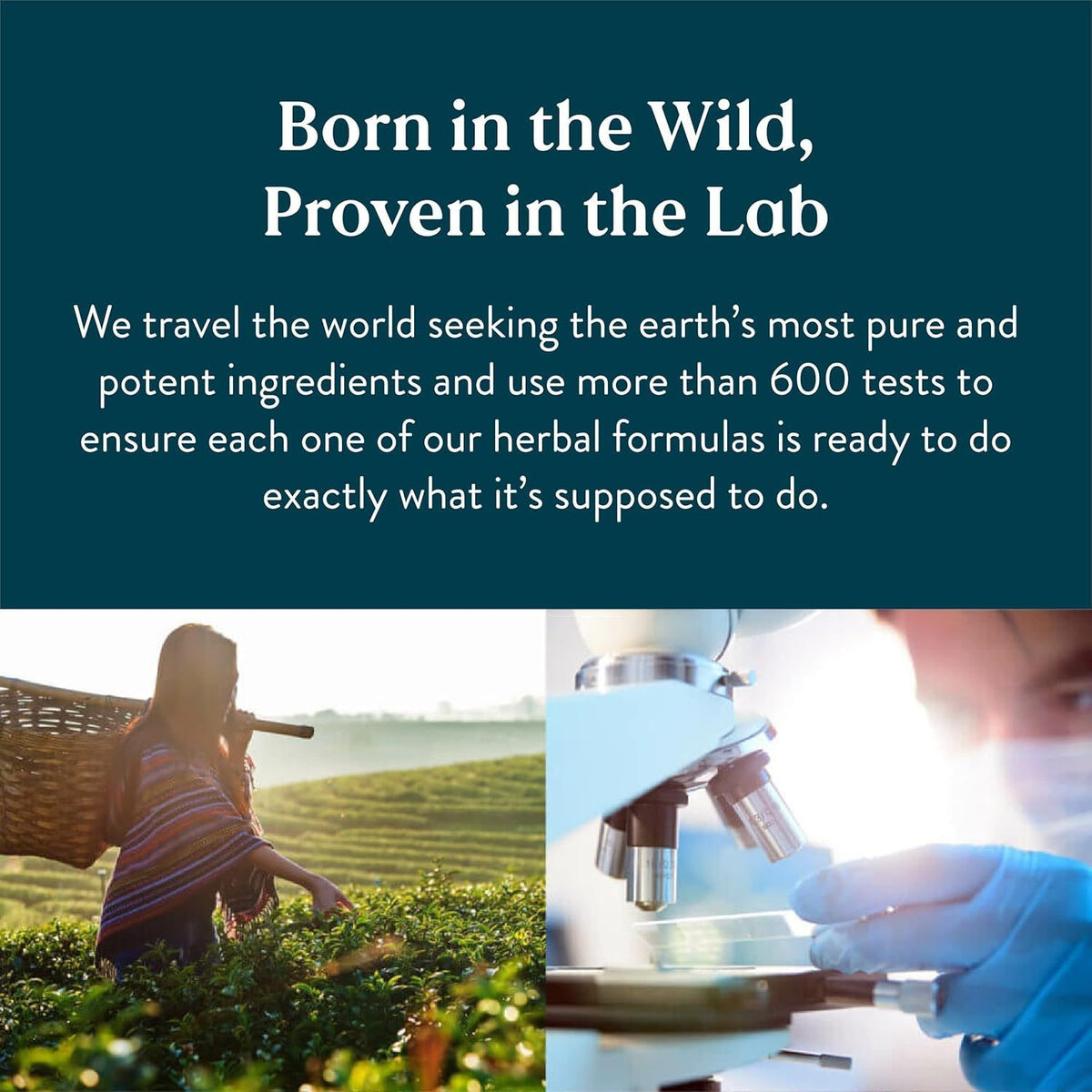 Lymphatic Drainage | Hemorrhoids Fix