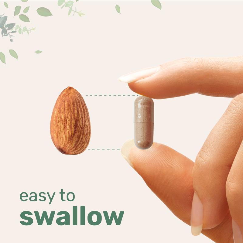 Micro Ingredients Liposomal NAD+®