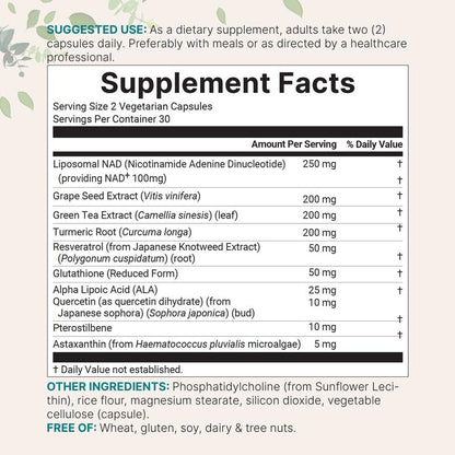 Micro Ingredients Liposomal NAD+®