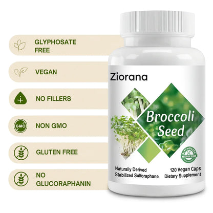 Broccoli Seeds™ – Balance, Detox & Calm