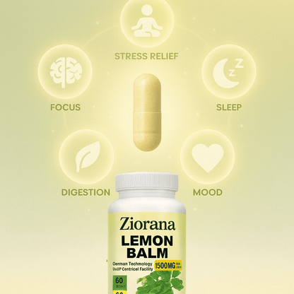 Lemon Balm | Brain Health, Relieve Stress, Improve Digestion