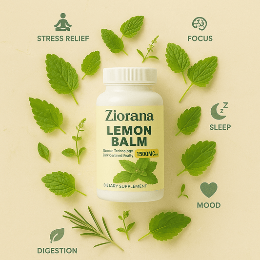 Lemon Balm | Brain Health, Relieve Stress, Improve Digestion