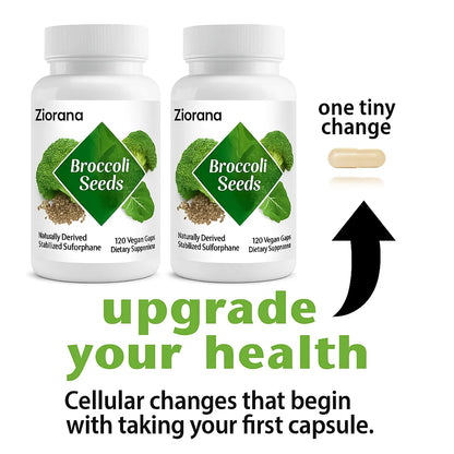 Broccoli Seeds™ – Balance, Detox & Calm