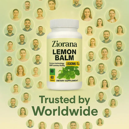 Lemon Balm | Brain Health, Relieve Stress, Improve Digestion